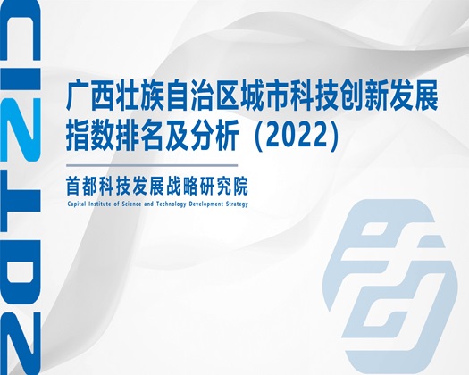 大鸡吧插进妻子逼逼视频【成果发布】广西壮族自治区城市科技创新发展指数排名及分析（2022）